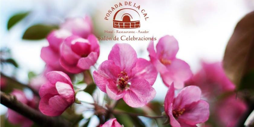 ¡Celebra tu boda en Posada de la Cal! Posada de la Cal. 